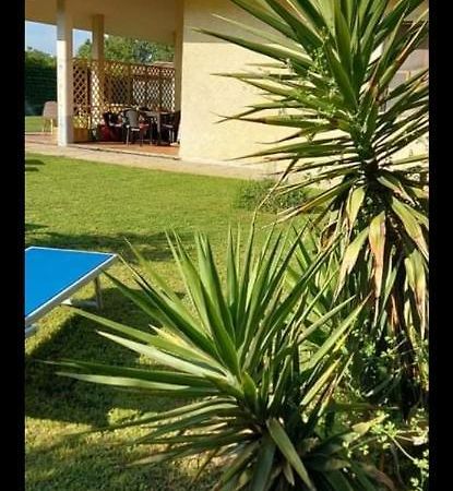 Green Garden Виареджо Екстериор снимка